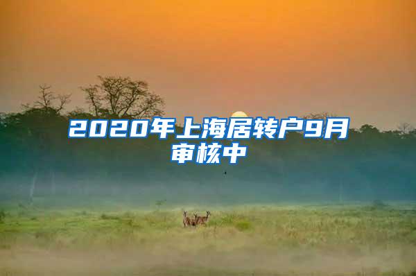 2020年上海居转户9月审核中