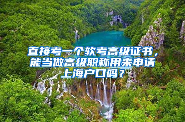 直接考一个软考高级证书，能当做高级职称用来申请上海户口吗？