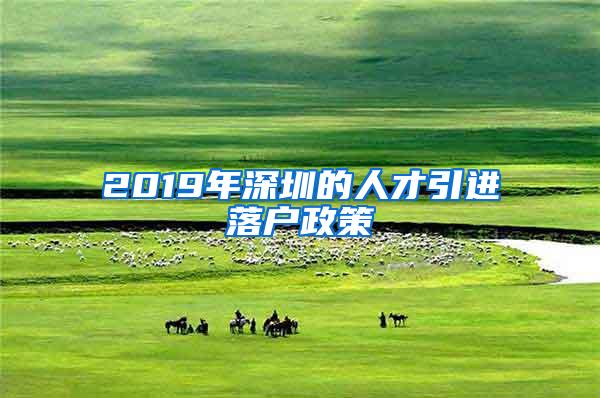 2019年深圳的人才引进落户政策