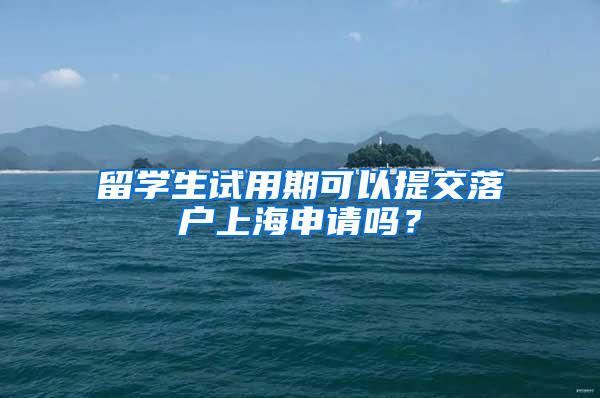 留学生试用期可以提交落户上海申请吗？