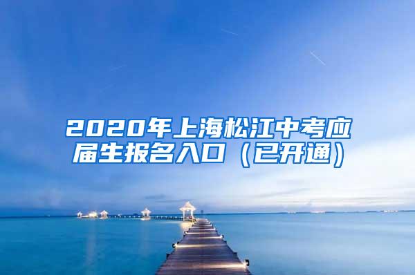 2020年上海松江中考应届生报名入口（已开通）