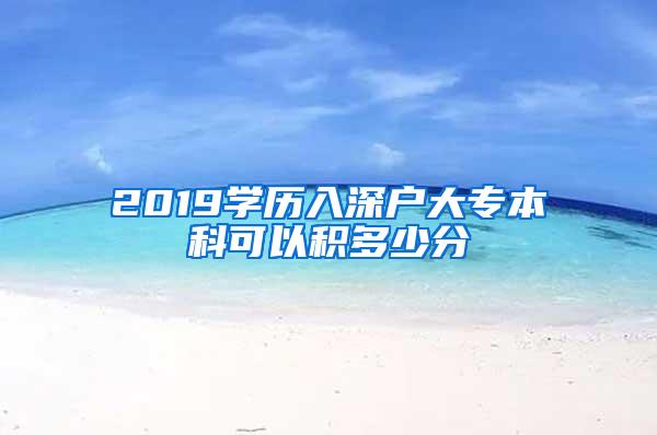 2019学历入深户大专本科可以积多少分