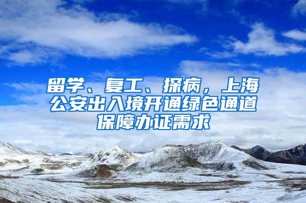 留学、复工、探病，上海公安出入境开通绿色通道保障办证需求