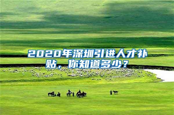2020年深圳引进人才补贴，你知道多少？