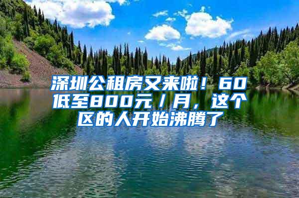 深圳公租房又来啦！60㎡低至800元／月，这个区的人开始沸腾了