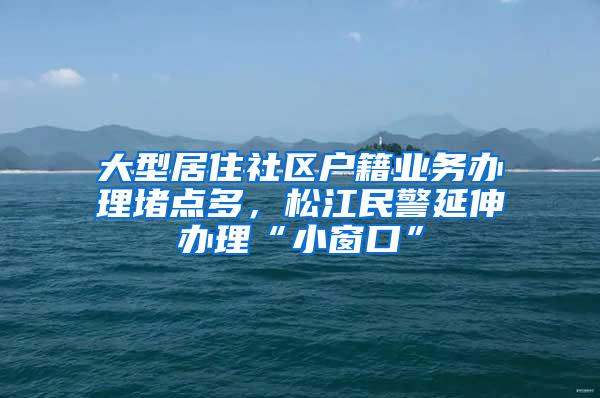 大型居住社区户籍业务办理堵点多，松江民警延伸办理“小窗口”