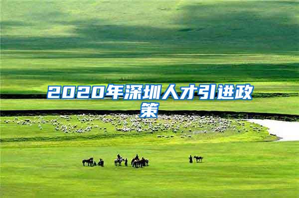 2020年深圳人才引进政策