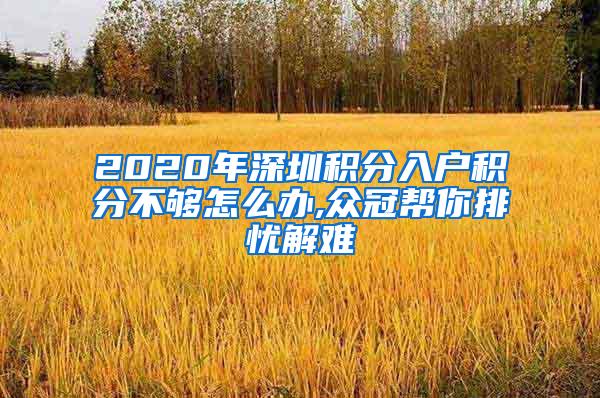 2020年深圳积分入户积分不够怎么办,众冠帮你排忧解难