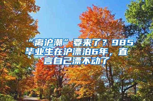 “离沪潮”要来了？985毕业生在沪漂泊6年，直言自己漂不动了