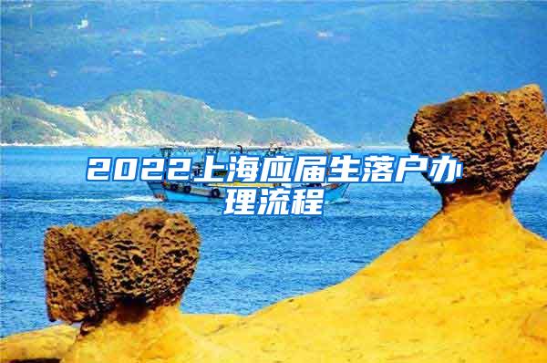 2022上海应届生落户办理流程