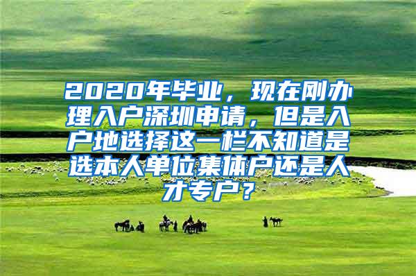 2020年毕业，现在刚办理入户深圳申请，但是入户地选择这一栏不知道是选本人单位集体户还是人才专户？