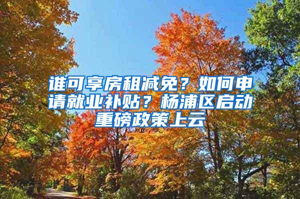 谁可享房租减免？如何申请就业补贴？杨浦区启动重磅政策上云