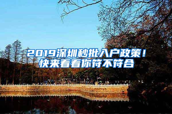 2019深圳秒批入户政策！快来看看你符不符合