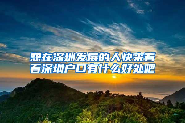 想在深圳发展的人快来看看深圳户口有什么好处吧