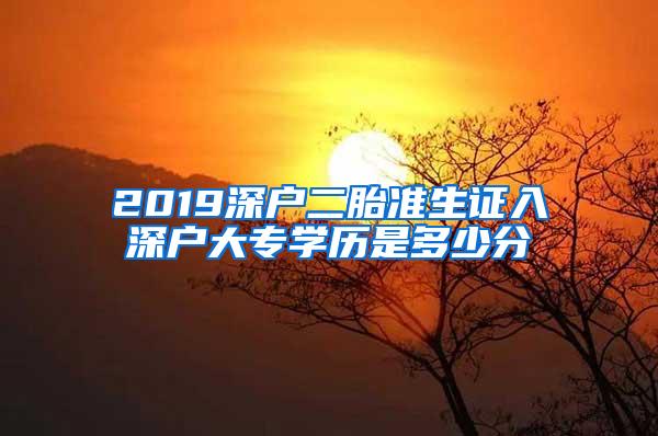 2019深户二胎准生证入深户大专学历是多少分