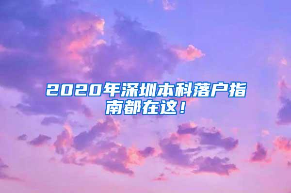 2020年深圳本科落户指南都在这！