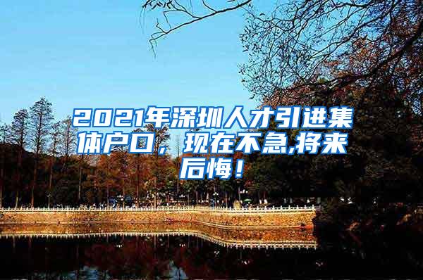 2021年深圳人才引进集体户口，现在不急,将来后悔！