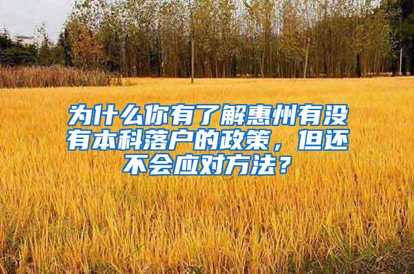 为什么你有了解惠州有没有本科落户的政策，但还不会应对方法？