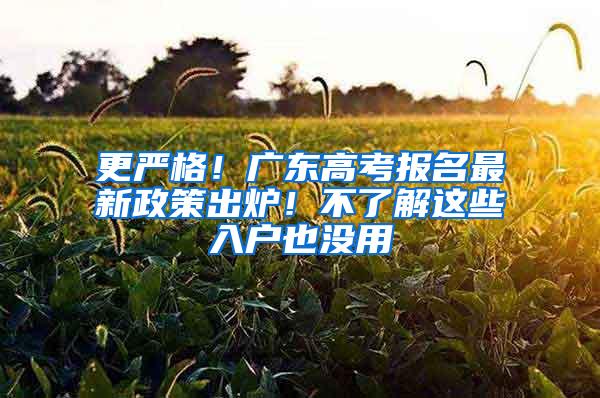 更严格！广东高考报名最新政策出炉！不了解这些入户也没用