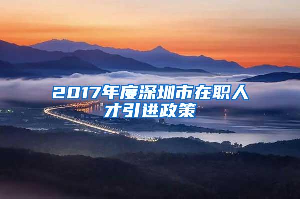 2017年度深圳市在职人才引进政策