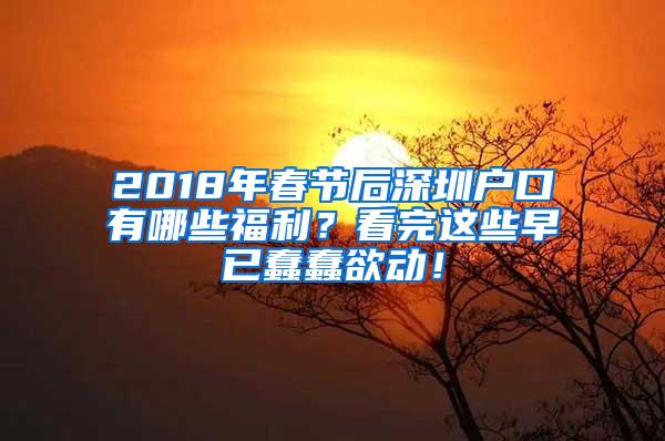 2018年春节后深圳户口有哪些福利？看完这些早已蠢蠢欲动！