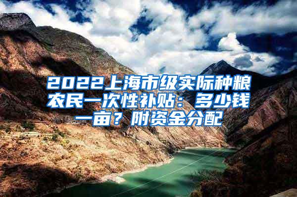 2022上海市级实际种粮农民一次性补贴：多少钱一亩？附资金分配