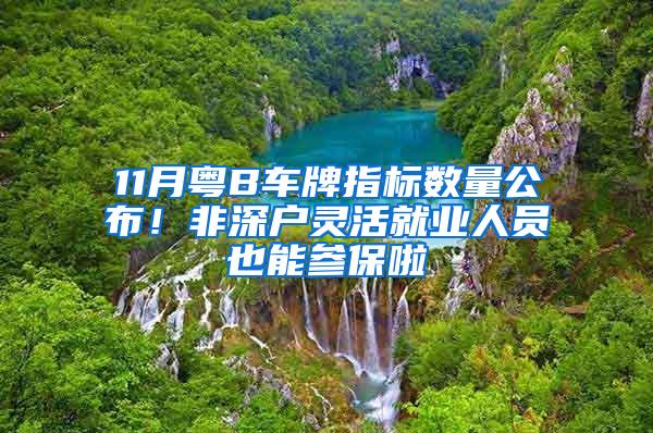 11月粤B车牌指标数量公布！非深户灵活就业人员也能参保啦