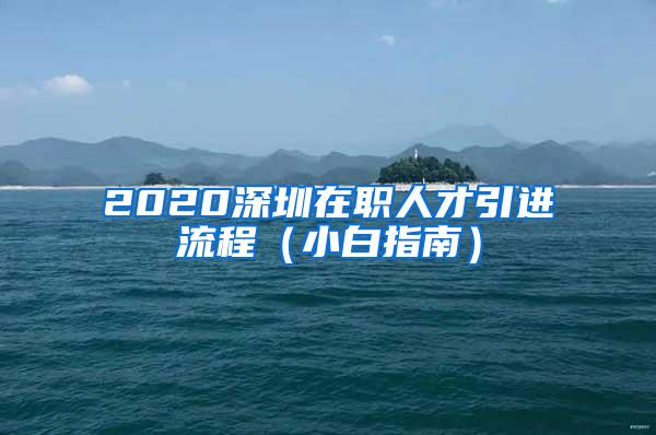 2020深圳在职人才引进流程（小白指南）