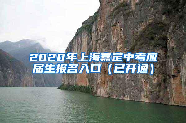 2020年上海嘉定中考应届生报名入口（已开通）