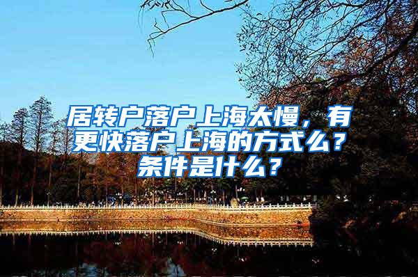 居转户落户上海太慢，有更快落户上海的方式么？条件是什么？