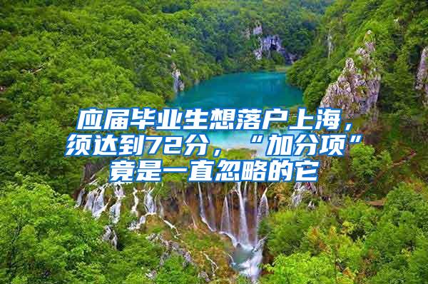 应届毕业生想落户上海，须达到72分，“加分项”竟是一直忽略的它