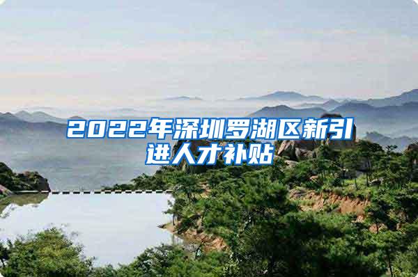 2022年深圳罗湖区新引进人才补贴