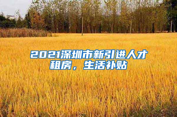 2021深圳市新引进人才租房，生活补贴