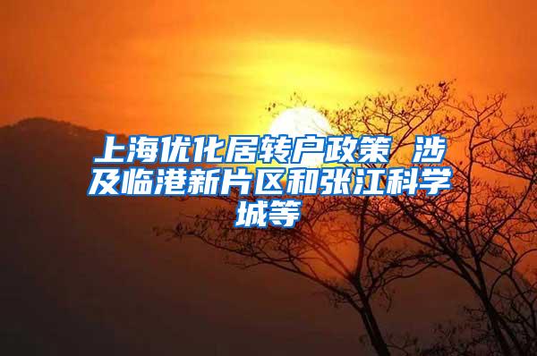 上海优化居转户政策 涉及临港新片区和张江科学城等