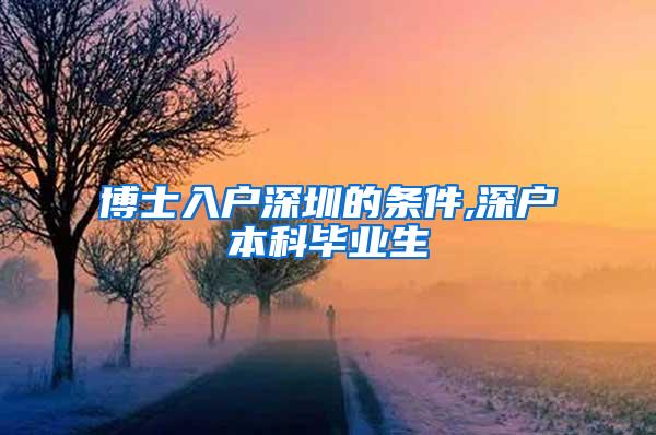 博士入户深圳的条件,深户本科毕业生