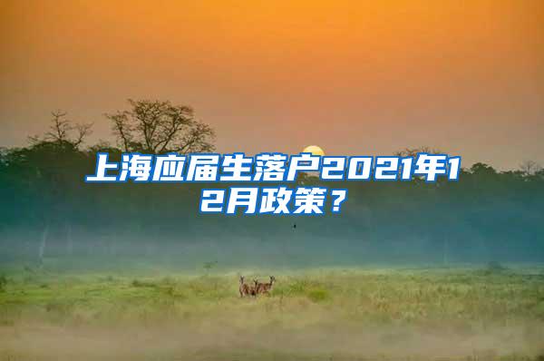 上海应届生落户2021年12月政策？