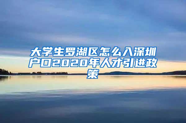 大学生罗湖区怎么入深圳户口2020年人才引进政策