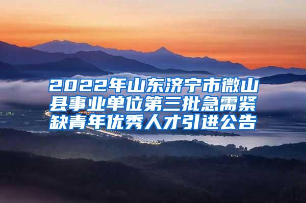 2022年山东济宁市微山县事业单位第三批急需紧缺青年优秀人才引进公告