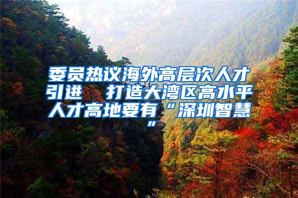 委员热议海外高层次人才引进  打造大湾区高水平人才高地要有“深圳智慧”