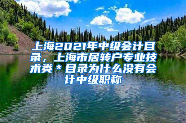 上海2021年中级会计目录，上海市居转户专业技术类＊目录为什么没有会计中级职称