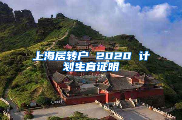 上海居转户 2020 计划生育证明