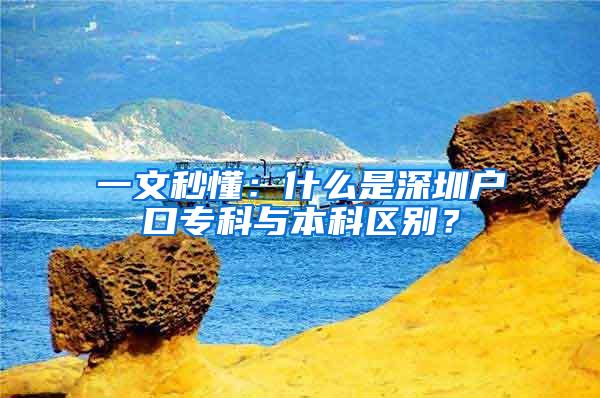 一文秒懂：什么是深圳户口专科与本科区别？