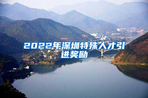 2022年深圳特殊人才引进奖励