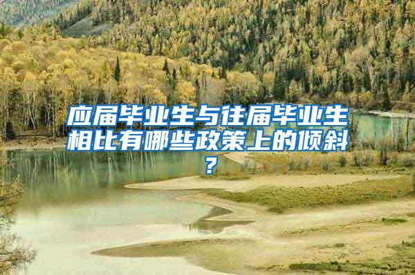 应届毕业生与往届毕业生相比有哪些政策上的倾斜？