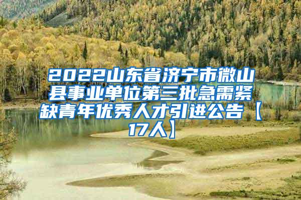 2022山东省济宁市微山县事业单位第三批急需紧缺青年优秀人才引进公告【17人】