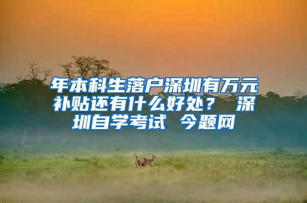 年本科生落户深圳有万元补贴还有什么好处？ 深圳自学考试 今题网