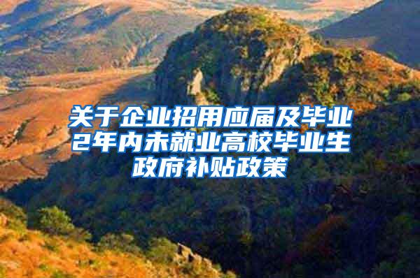 关于企业招用应届及毕业2年内未就业高校毕业生政府补贴政策