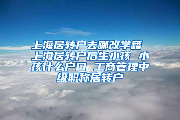 上海居转户去哪改学籍 上海居转户后生小孩 小孩什么户口 工商管理中级职称居转户