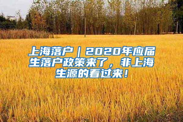 上海落户｜2020年应届生落户政策来了，非上海生源的看过来！