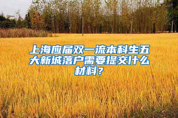 上海应届双一流本科生五大新城落户需要提交什么材料？